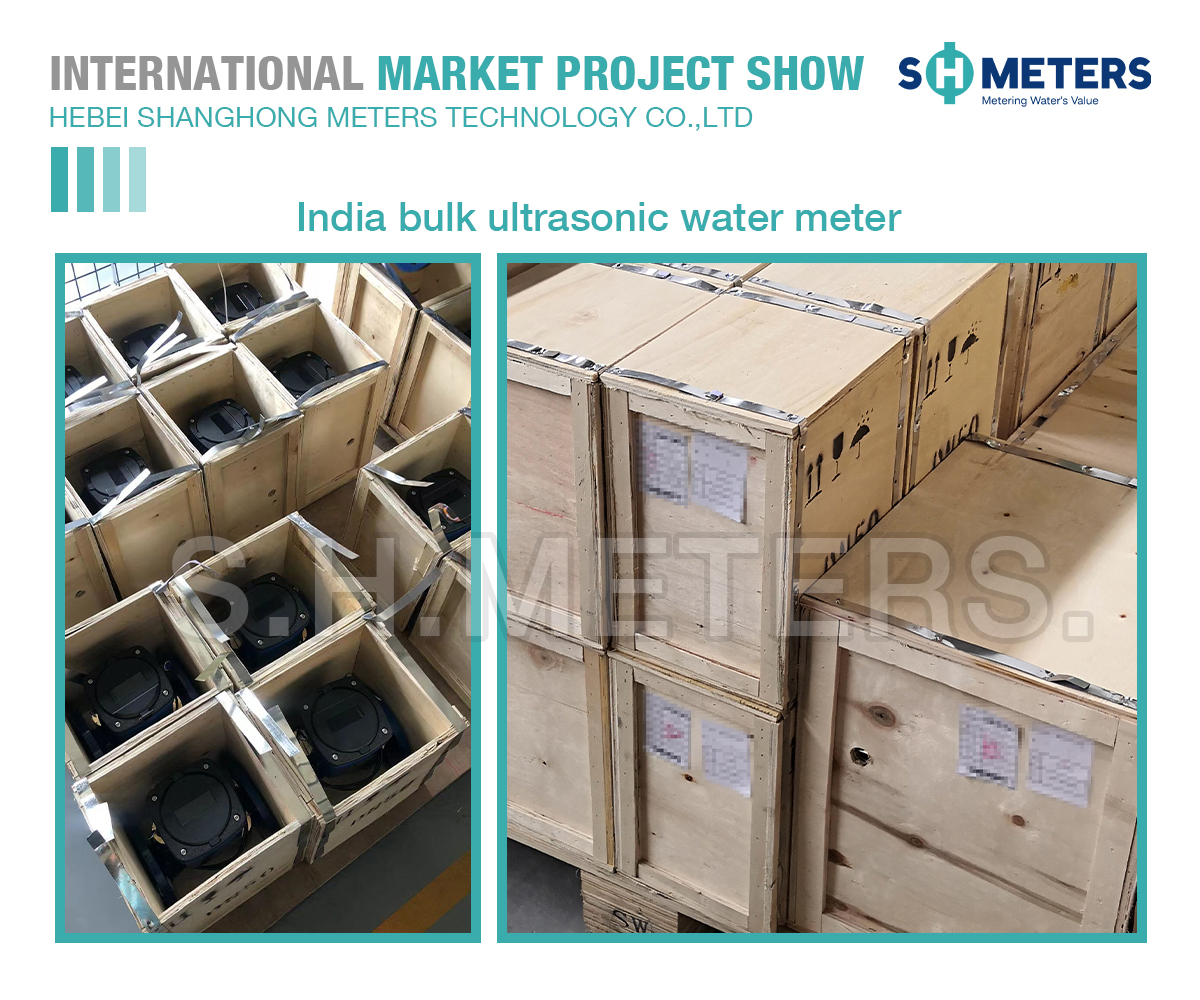 India bulk ultrasonic water meter project 