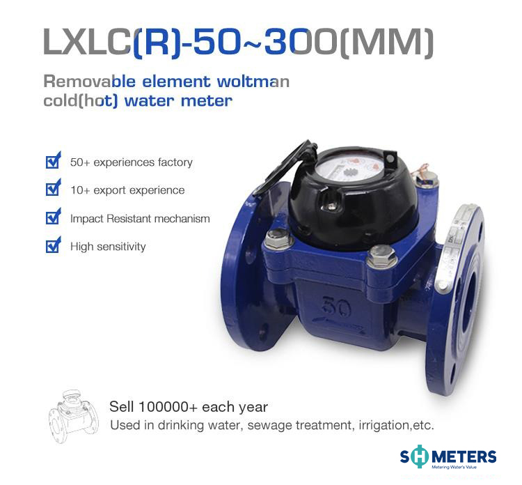 Woltman Water Meter With Removable Sewage 40mm Bulk R80 ISO 4064 Class ...